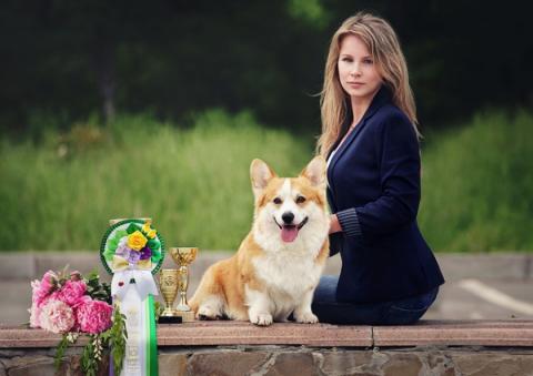 Hillberry Fox In Socks - CAC, CACIB, BOB, BIG-1 