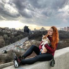 щенок вельш корги пемброк